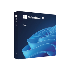 Windows 11 Pro