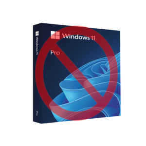 Windows 11 (NO ACTIVATION)